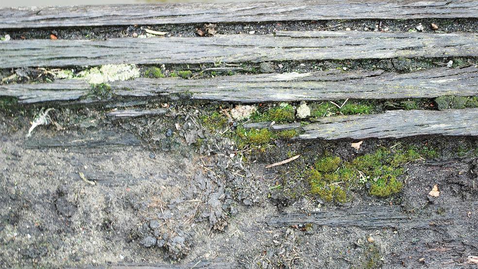 Die hölzernen Spundwände des Alten Hafens in Weener sind mehr als marode.  © Foto: Hoegen