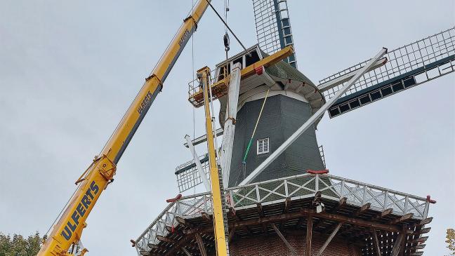 Pilzbefall an  Meyers Mühle