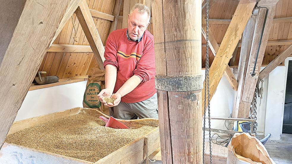 Jan Meints mit der ersten Mischung des Jahres aus Roggen, Weizen und Weizenvollkornmehl für das Speckendickenmehl nach dem Originalrezept des ehemaligen Müllers Bene Wichers.  © 