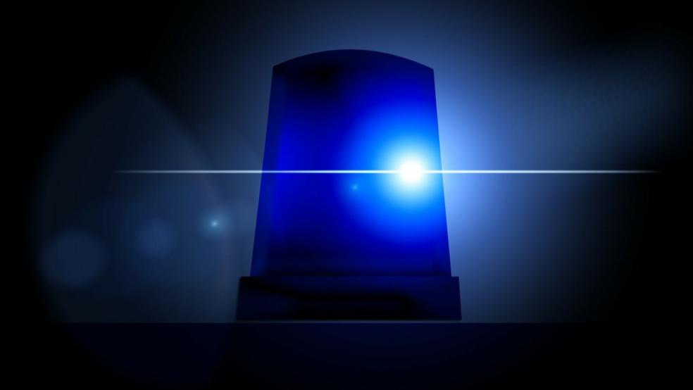 Der 18-jährige Autofahrer wurde schwer verletzt mit einem Rettungshubschrauber in ein Krankenhaus geflogen. © Pixabay (Symbolbild)