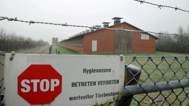 In Großheide Fall von Vogelgrippe