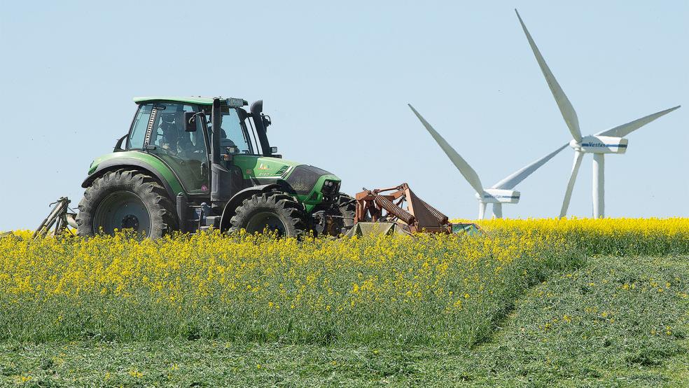 Fast 4000 Hektar von 67 Betrieben werden im Landkreis Leer unter Öko-Richtlinien bewirtschaftet. Das entspricht sechs Prozent der Gesamtfläche.  © Foto: dpa/Kahnert