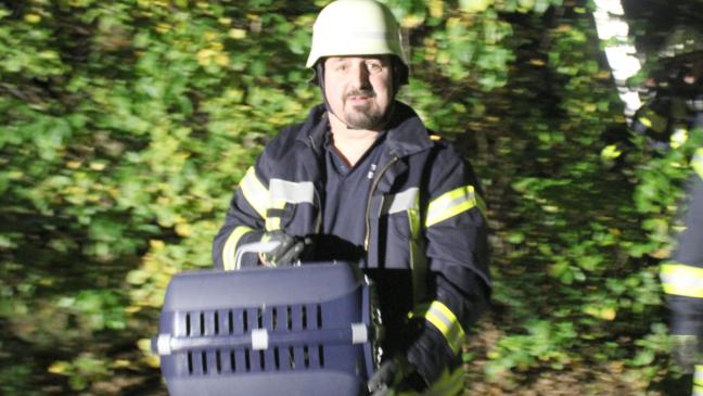 Feuerwehr rettet 