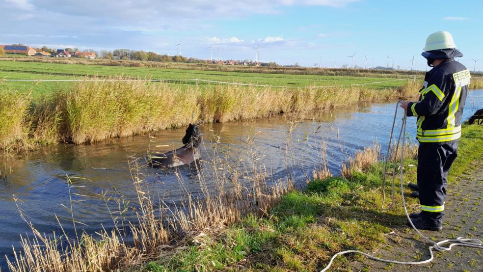 Die Feuerwehr befreite das entkräftete Pferd aus seiner Notlage. © Feuerwehr Krummhörn