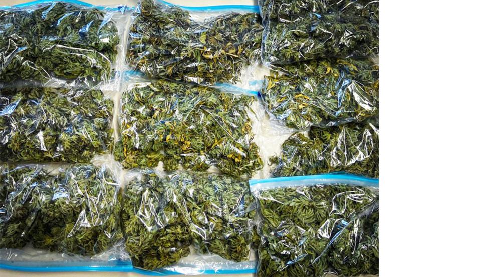 Rund 310 Gramm Marihuana wurden beschlagnahmt.  © Foto: Privat