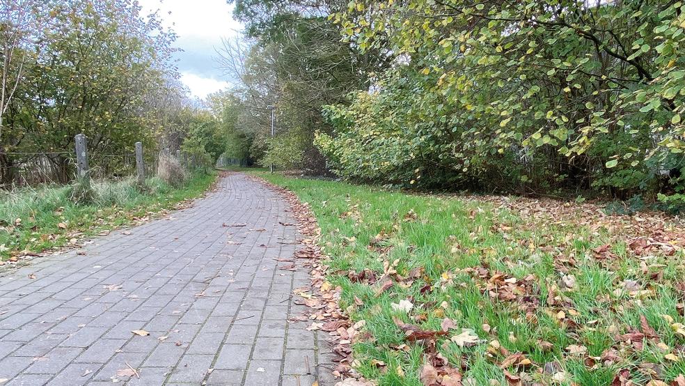 Im Bereich Beningaweg hinter der Oberschule in Weener soll die neue Turnhalle gebaut werden.  © Foto: Hanken