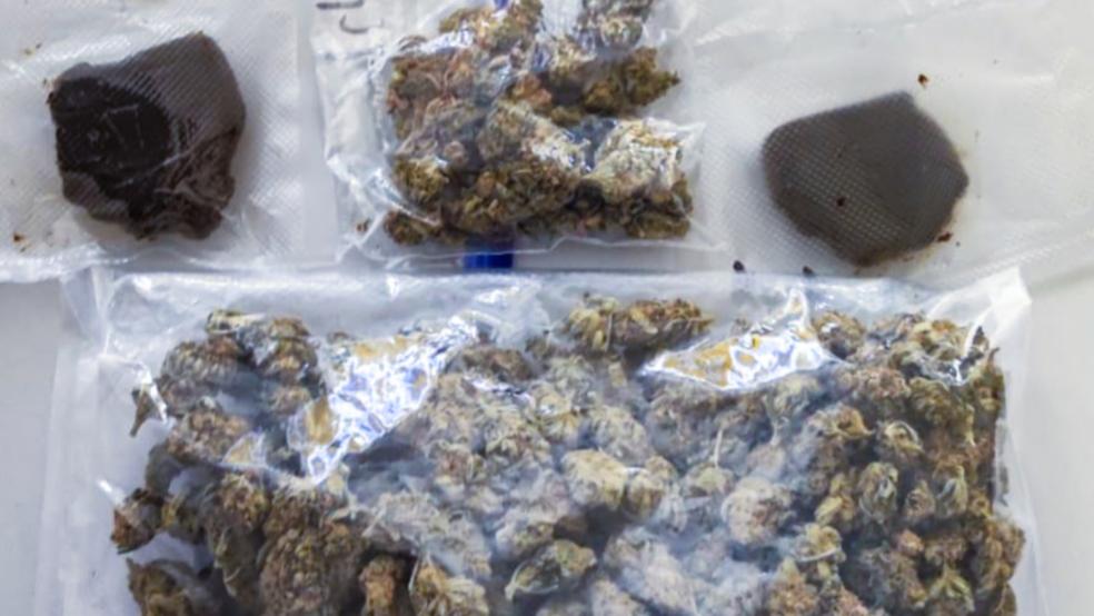 Etwa 200 Gramm fand eine Emder Zollstreife bei der Überprüfung eines Autos an der Autobahn-Abfahrt bei Möhlenwarf, weitere 100 Gramm cannabishaltiger Betäubungsmittel entdeckten die Beamten bei anschließenden Hausdurchsuchungen. © Zoll