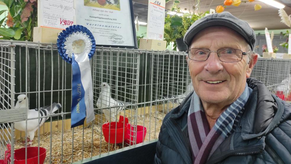 14 Tauben hat Alfred van der Slyk den Preisrichtern vorgestellt. Für seine Tiere gab es zwölfmal »sehr gut«, einmal »hervorragend« und einmal sogar »vorzüglich«. Mit insgesamt 473 Punkten wurde der gebürtige Bunder Vereinsmeister 2022.  © Fotos: HImstedt