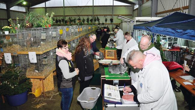 Große Schau in Weener