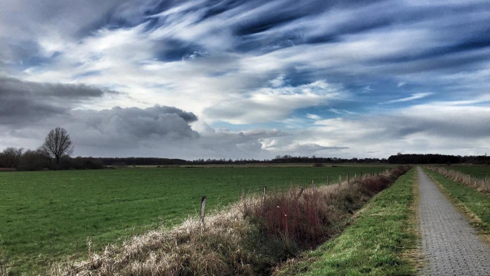 In den Meentelanden ist in den kommenden Jahren einiges zu tun. © Hanken