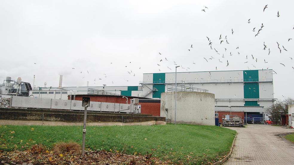 Das Klärwerk von Weener in der Gesamtansicht, im Hintergrund die Papierfabrik Klingele. Die in den 1960er Jahren gebaute Kläranlage soll modernisiert und energetisch auf den neuesten Stand gebracht werden. Bis 2024 will die Stadt 4,5 Millionen Euro für ihr Kanalisationssystem investieren.  © Foto: Hoegen