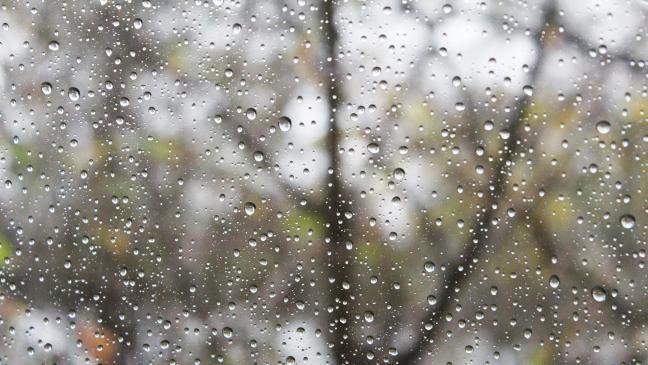 Herbst endet deutlich zu mild