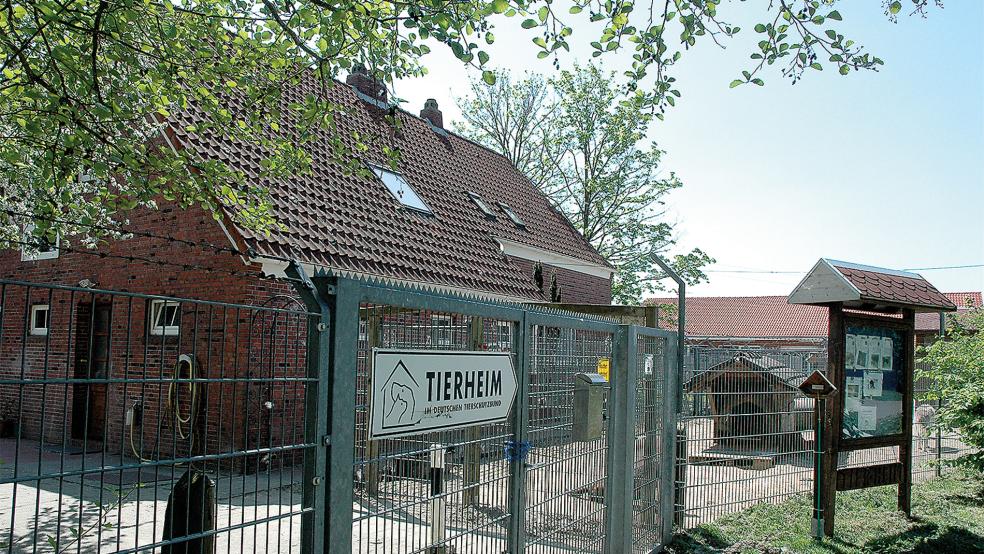 Das Tierheim in Stapelmoor muss mit Kostensteigerungen in vielen Bereichen rechnen.  © Foto: Archiv