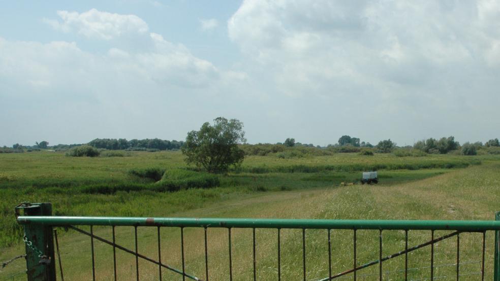 Das Naturschutzgebiet »Vellage« war eine der letzten ausgewiesenen Flächen im Landkreis Leer.  © Archivfoto: Szyska