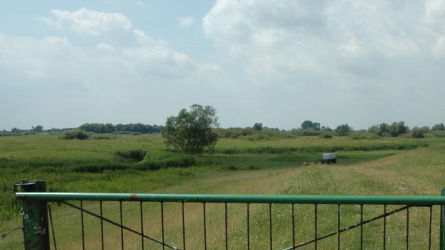 Rheiderländer Natur besonders wertvoll
