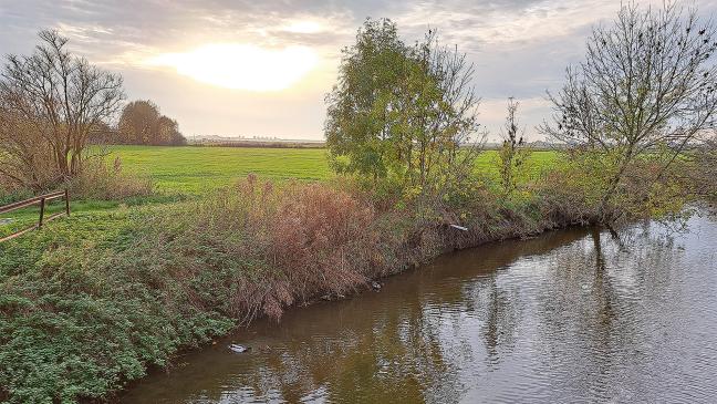 Umplanung in Baugebieten