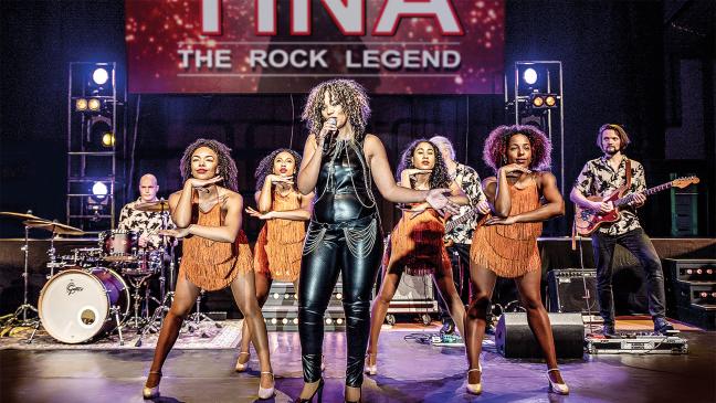 Tribut an Tina Turner