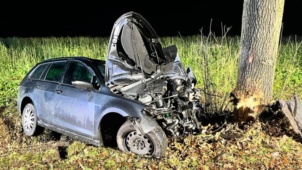 Schwer demoliert war das Auto nach der Kollision mit dem Baum. © Schoon