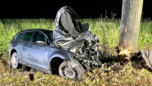 Voll besetztes Auto kracht gegen Baum
