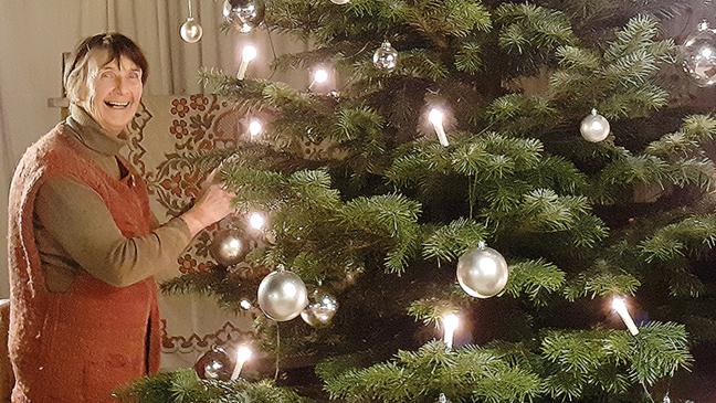 Der Weihnachtsbaum kommt nach Hause