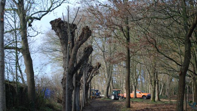 Freigabe-Termin noch offen