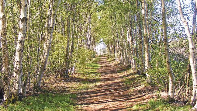 Moorschutz: Wer trägt die Belastungen?