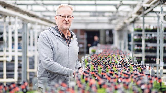 Klee aus Halte bringt Deutschland Glück