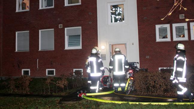 Katzenfutter auf Herd löst Brandalarm aus