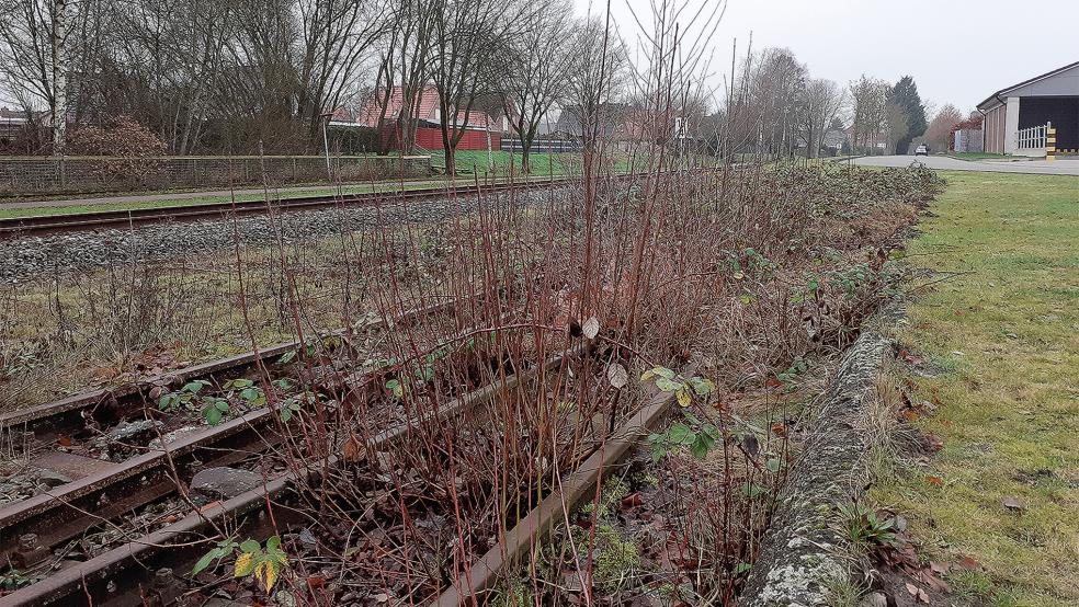 Der Bahnsteig soll zwischen dem ehemaligen Bahnhof und der Bahnhofstraße gebaut werden.  © Foto: Berents