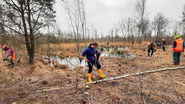 Anpacken für  den Klimaschutz
