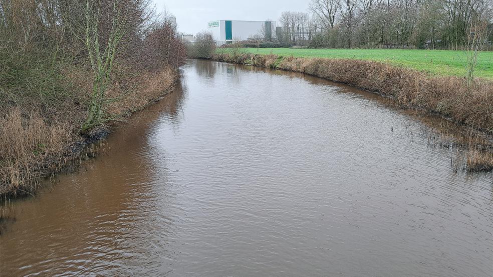 Für ein Wassermanagement-Konzept will die Sielacht an sechs Stellen die Wasserstände messen - nämlich im Buschfelder Sieltief (Bild), im Wymeerer Sieltief (Verlaat/Kanalpolder sowie Mühlentief), im Coldenborger Sieltief, im Großsoltborger Sieltief und im Tichelwarfer Tief.  © Foto: Szyska