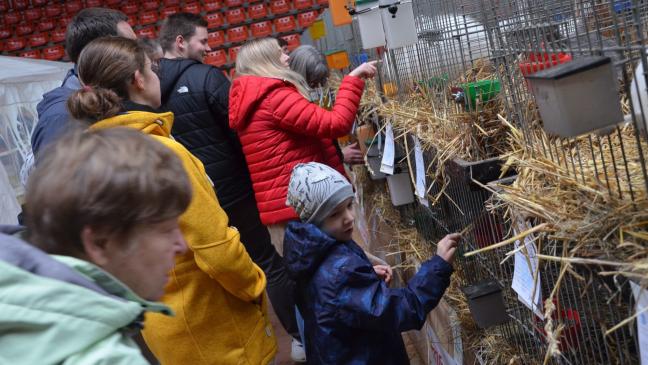 Kaninchenschau lockte viele Besucher nach Leer