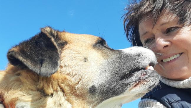 Eine böllerfreie Alternative bieten