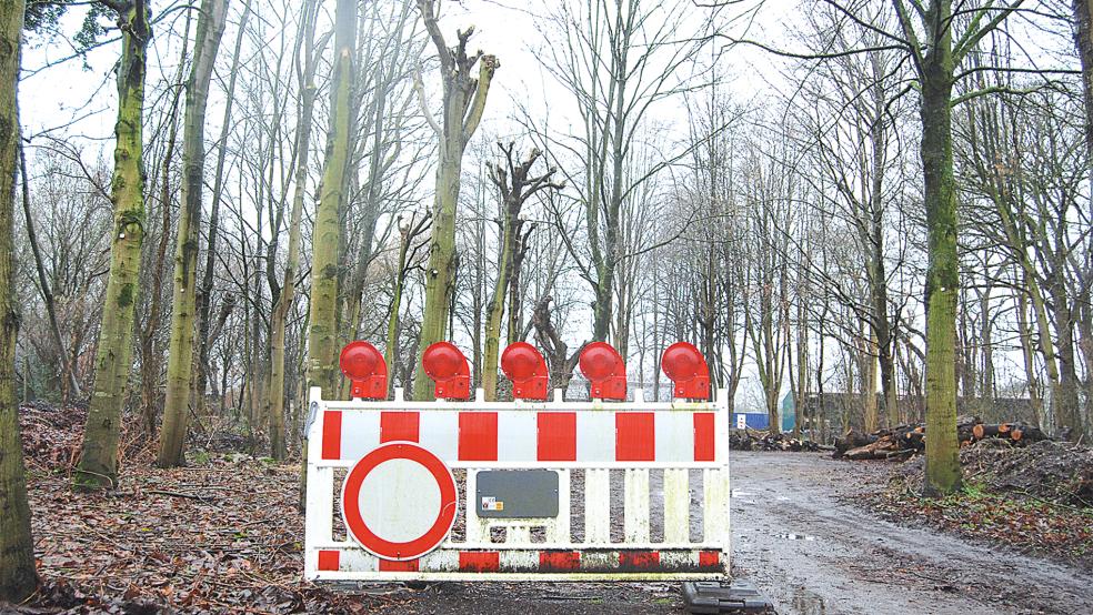 Momentan laufen keine Arbeiten im nach wie vor gesperrten Naturpark in Stapelmoor.  © Foto: Hoegen