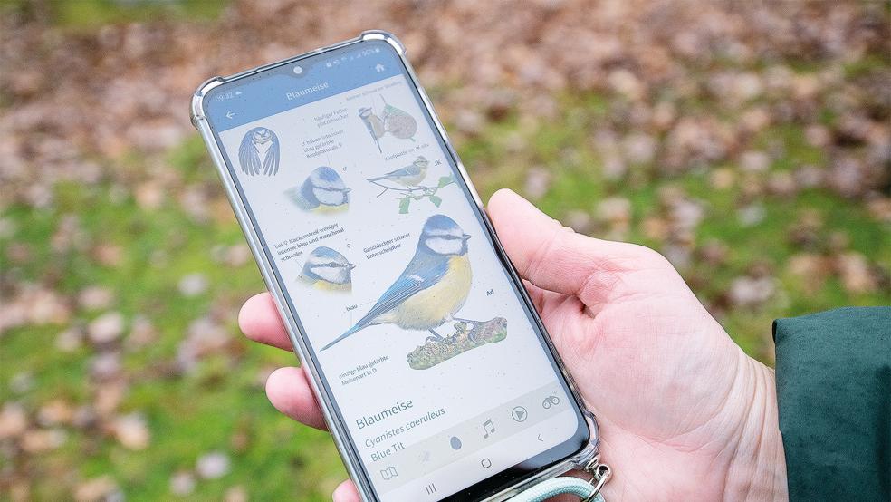 Zählhilfe: Der NABU bietet eine spezielle App an.  © Foto: NABU