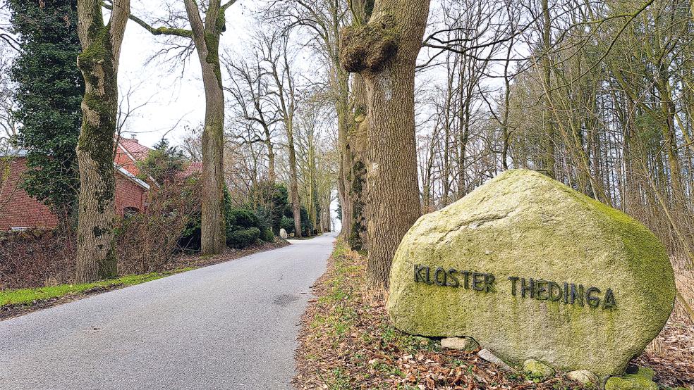 Durch die Enge der Allee und die Baumwurzeln eignet sich die Kloster-Thedinga-Straße nur begrenzt als Zufahrt zum Flugplatz. Der Lkw mit dem Kraftstoff für die Flugzeuge kann die Straße nur mit einer Ausnahmegenehmigung befahren.  © Foto: Szyska