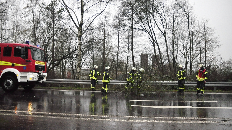 Die Feuerwehr Leer war auf dem Stadtring in Leer im Einsatz, um herabgefallene Baumäste zu beseitigen. © Wolters