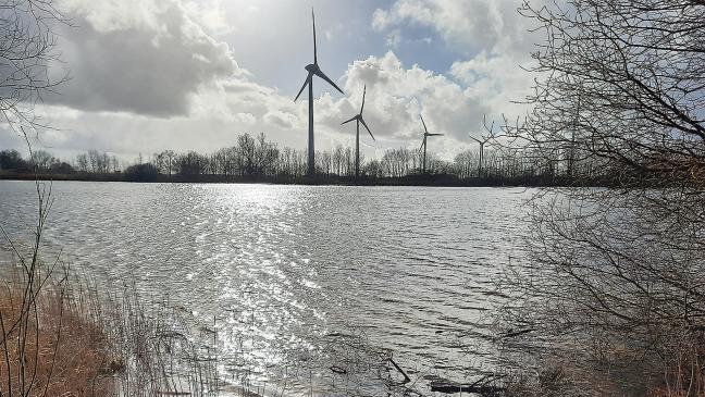 Badesee aufwerten