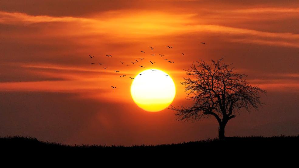 Insgesamt ließ sich die Sonne im Januar 36,35 Stunden in Stapelmoor blicken - deutlich weniger als normal. Sonnigster Tag im Januar war der 18. des Monats mit 5,03 Sonnenstunden.  © Foto: pixabay