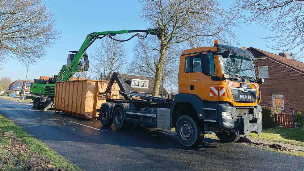 Es dauert nur wenige Minuten, bis an der Dorfstraße in Stapelmoorerheide jeweils eine der 40 Jahre alten Platanen zersägt und abtransportiert wird. Übrig bleiben nur die Stümpfe.  © Foto: Kuper