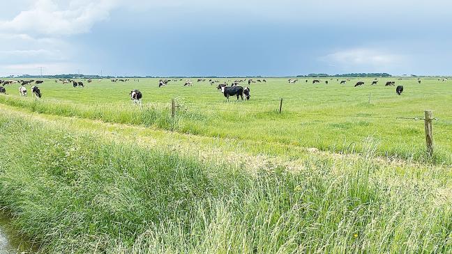 Mehr Humus für den Klimaschutz