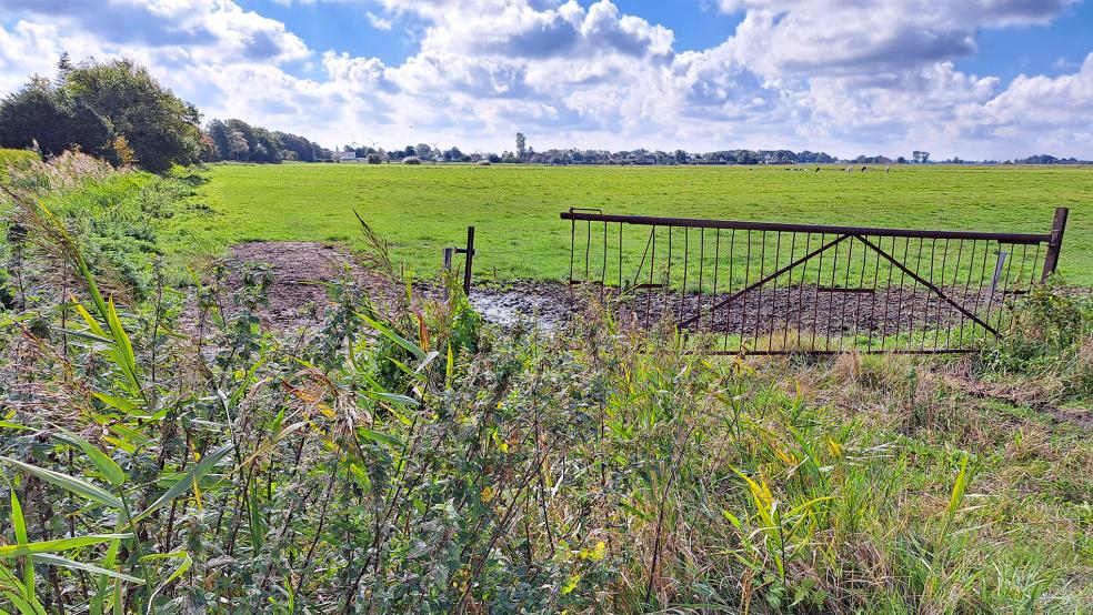 Auch für das neue Baugebiet am »Toten Weg« soll ein neuer Straßenname gefunden werden.  © Archivfoto: Szyska