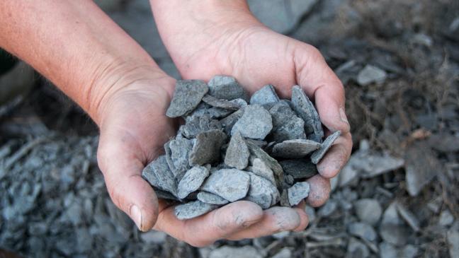 Kreis Leer geht aktiv gegen Schottergärten vor