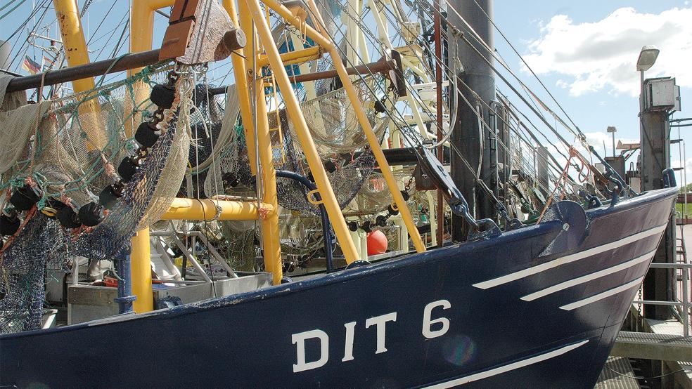 Die Ditzumer Krabbenfischer befürchten bei einer Vertiefung der Außenems negative Folgen für ihre Fanggründe. Das WSA argumentiert, dass die Maßnahme vor allem im Emder Fahrwasser bis zur Knock geplant sei.  © Foto: Szyska
