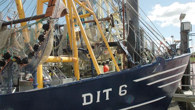 Auch Wendebecken vor der Hafeneinfahrt geplant