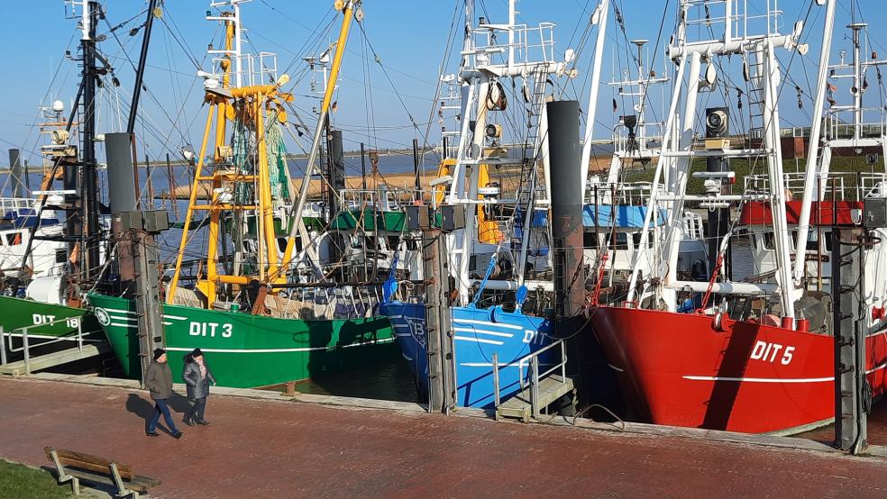Auch die Ditzumer Krabbenfischer wären von den neuen Plänen der EU-Kommission für eine nachhaltigere Fischerei betroffen. © Szyska