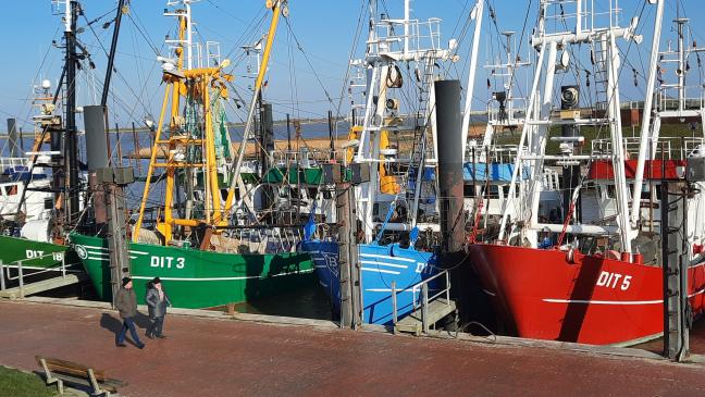 Fischer fürchten um ihre Existenz