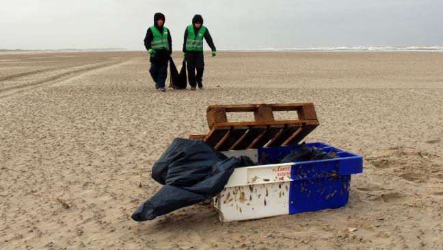Freiwillige sammeln Meeresmüll