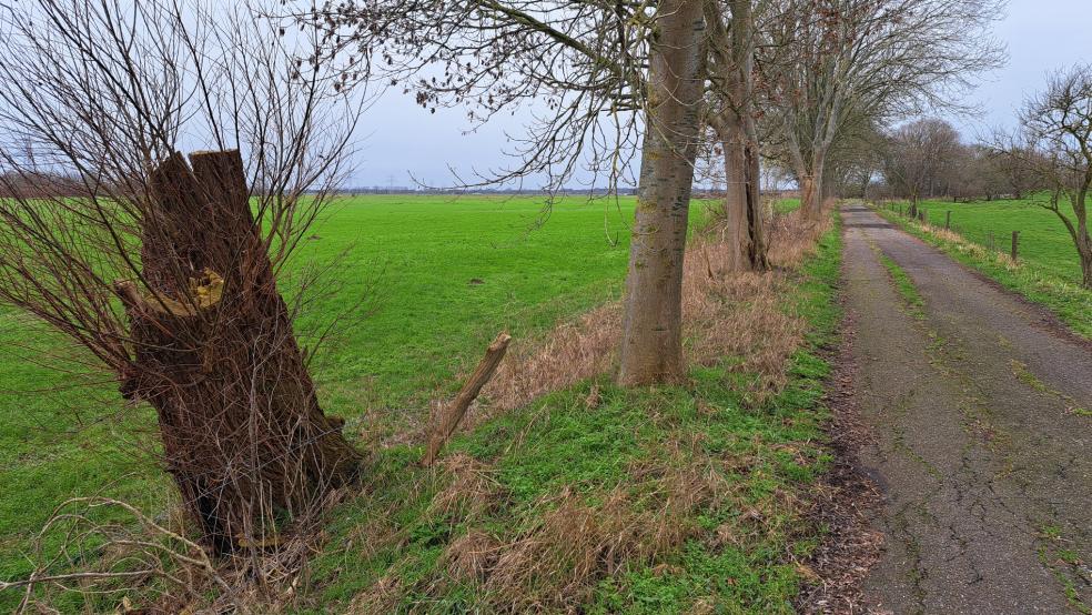 Das Süßwasser-Biotop am Süderweg in Weener soll ab September auf einer Fläche von 18 Hektar angelegt werden. © Szyska