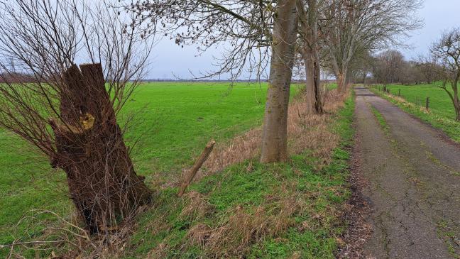Keine frühere Siedlung beim alten Emsarm